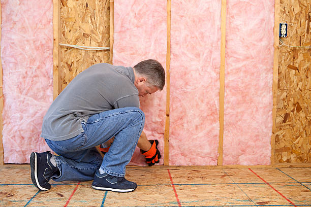 Professional Insulation in Romeoville, IL